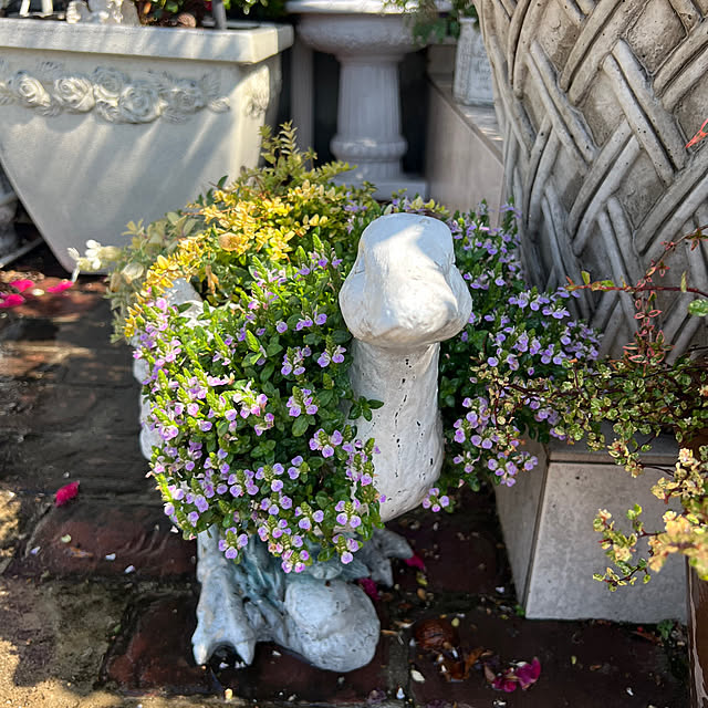 AYUKOさんの実例写真
