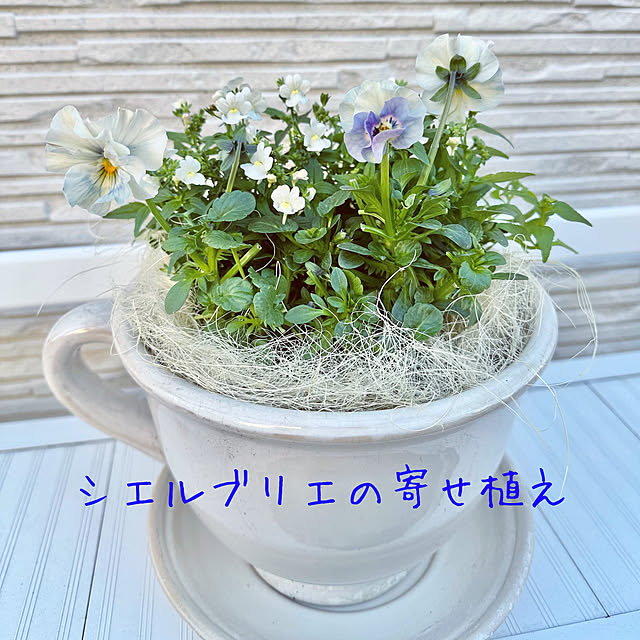 Re_さんの部屋