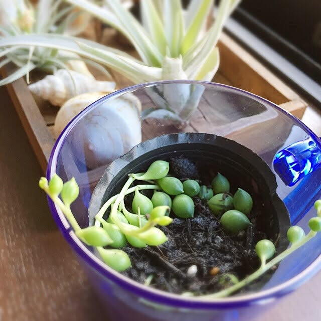hiroさんの実例写真
