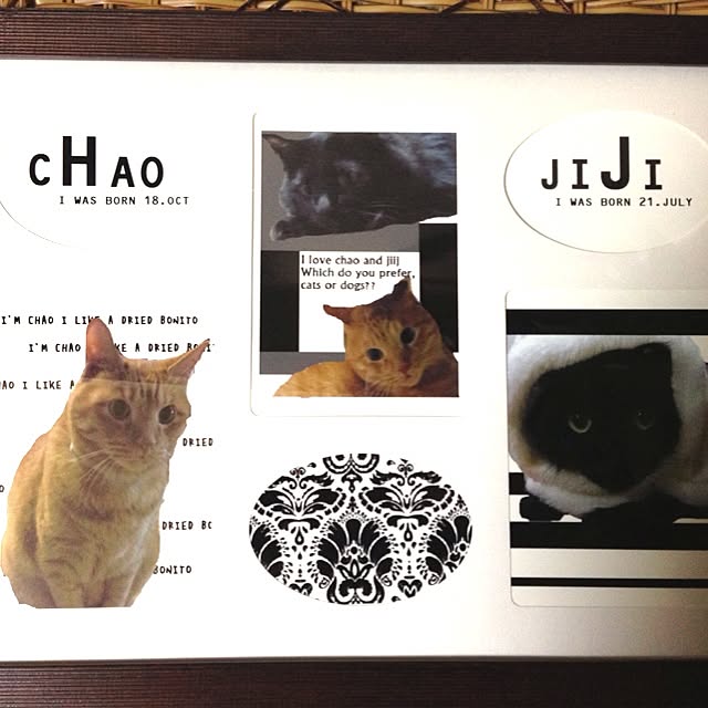 maimaiさんの実例写真