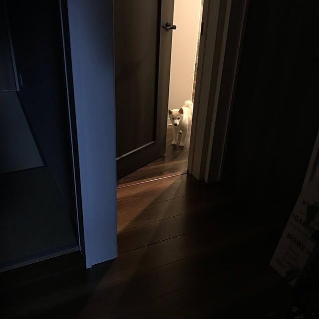 Nicoleさんの実例写真