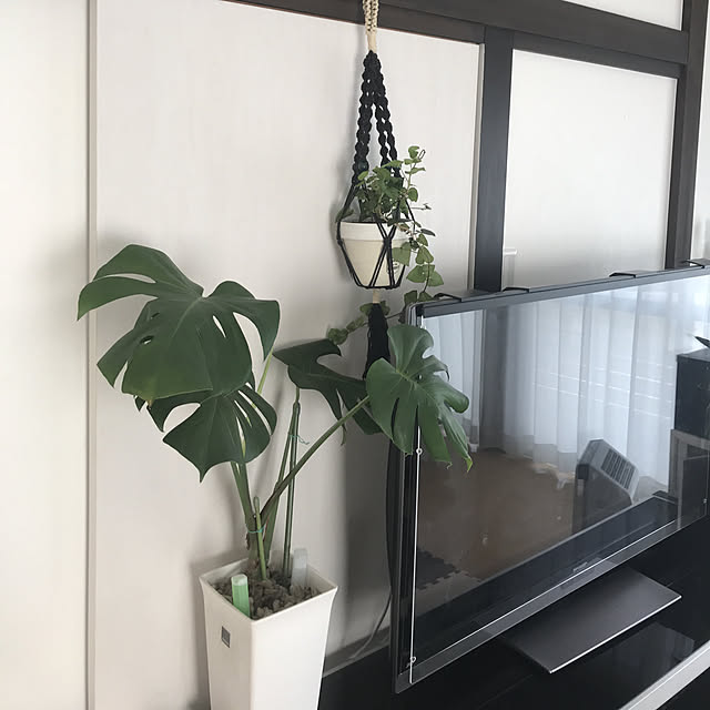 Satoshiさんの実例写真