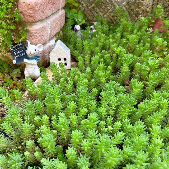 25Moondropsさんの実例写真