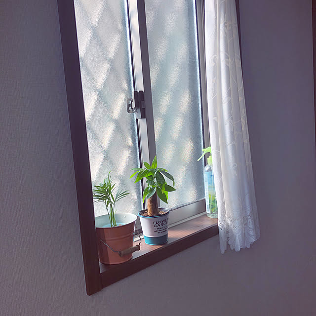 カーテン/観葉植物/ダイソー/100均/プチプラインテリア...などのインテリア実例 - 2021-02-11 16:17:10