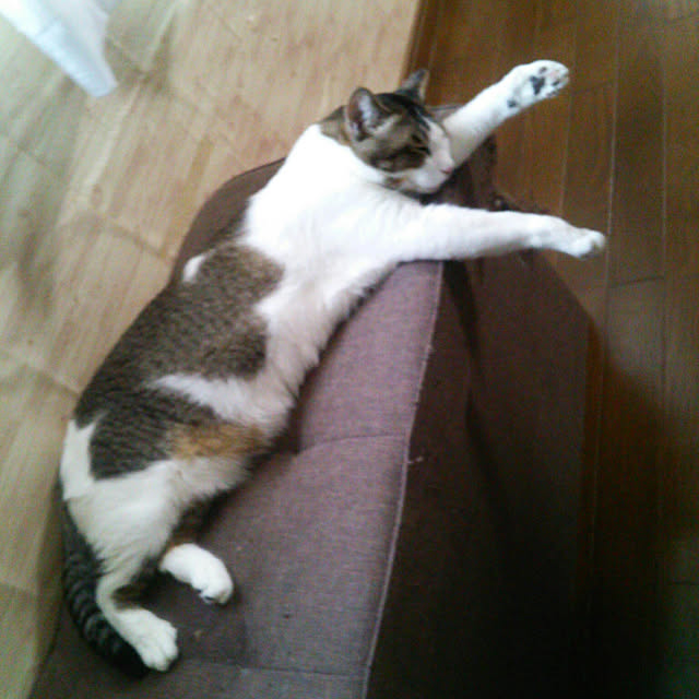 実例写真