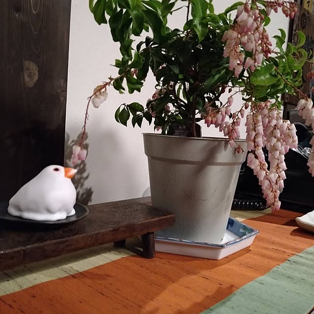 5160ksさんの部屋