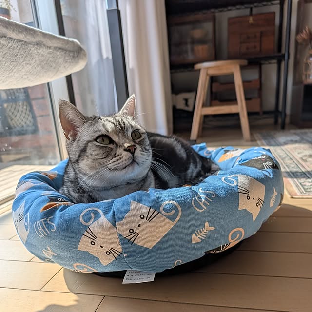 lovepeaceさんの部屋