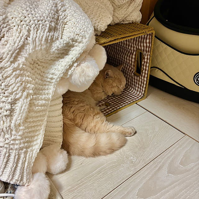 naokoさんの実例写真