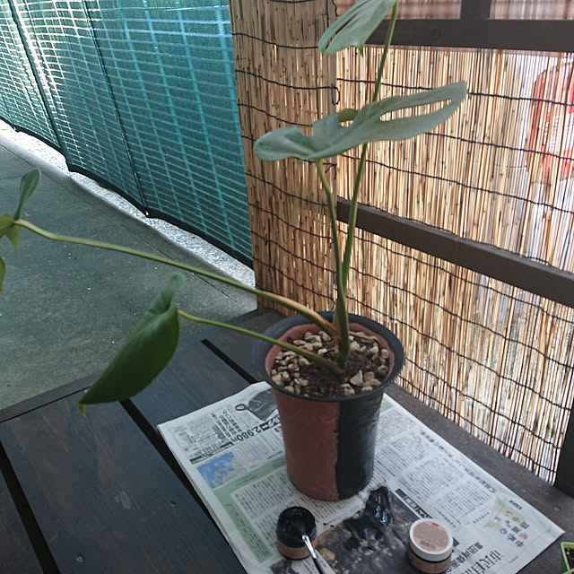 berariさんの実例写真
