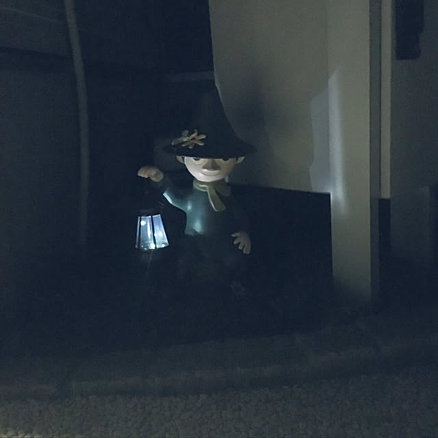 noriさんの実例写真