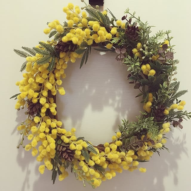 miSaさんの実例写真