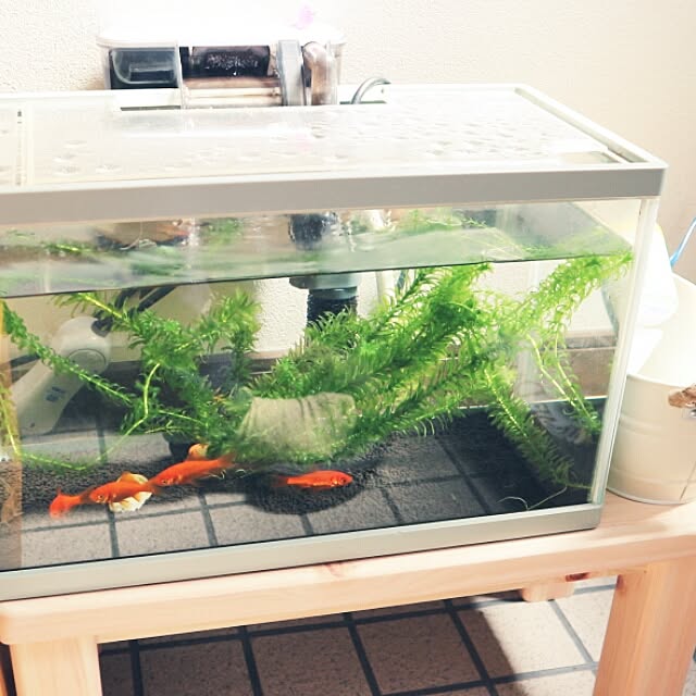 MYUさんの実例写真