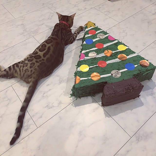 iranさんの実例写真