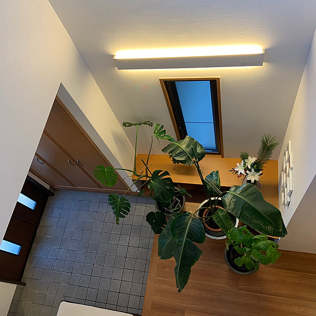 cocoさんの部屋