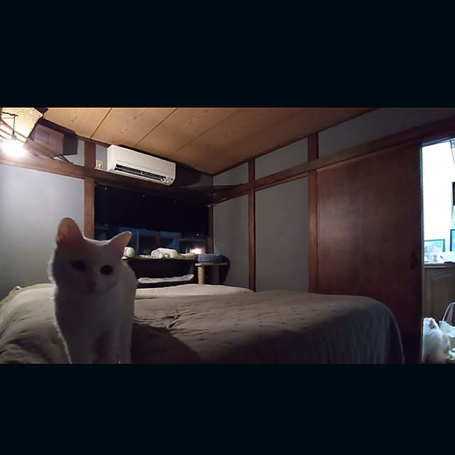 keiさんの実例写真