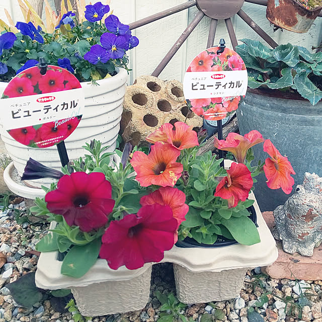 mizuさんの実例写真
