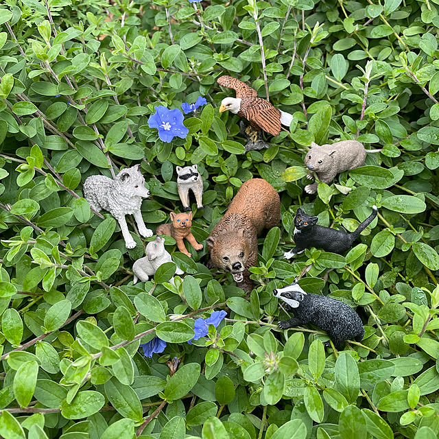 ronronさんの実例写真