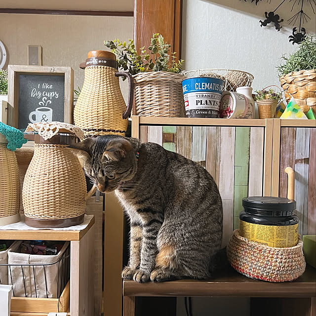 mohhaさんの実例写真