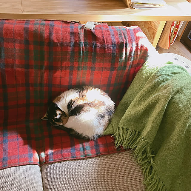 akanekoさんの部屋