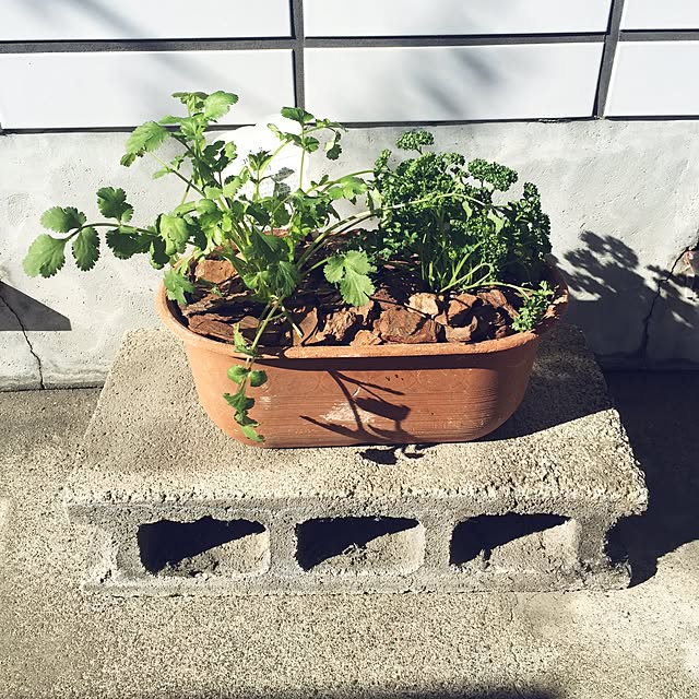 TikoRoomさんの実例写真