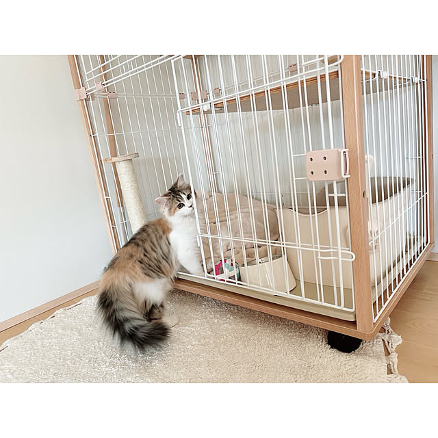 darakoさんの実例写真