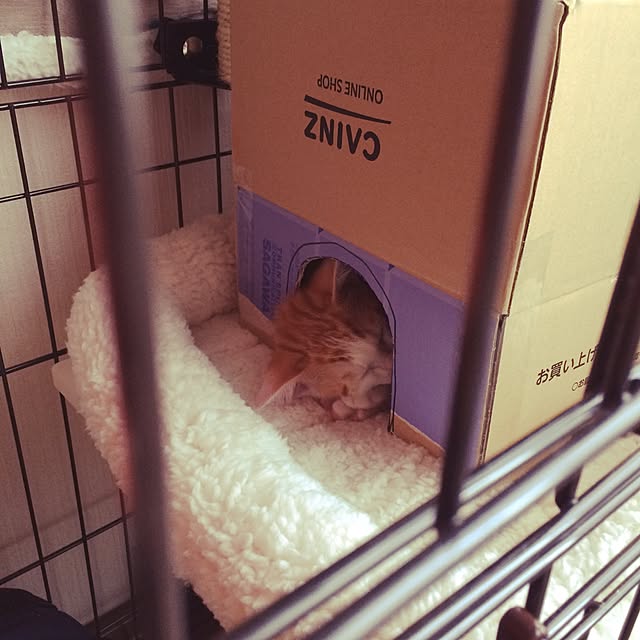 biscoさんの実例写真
