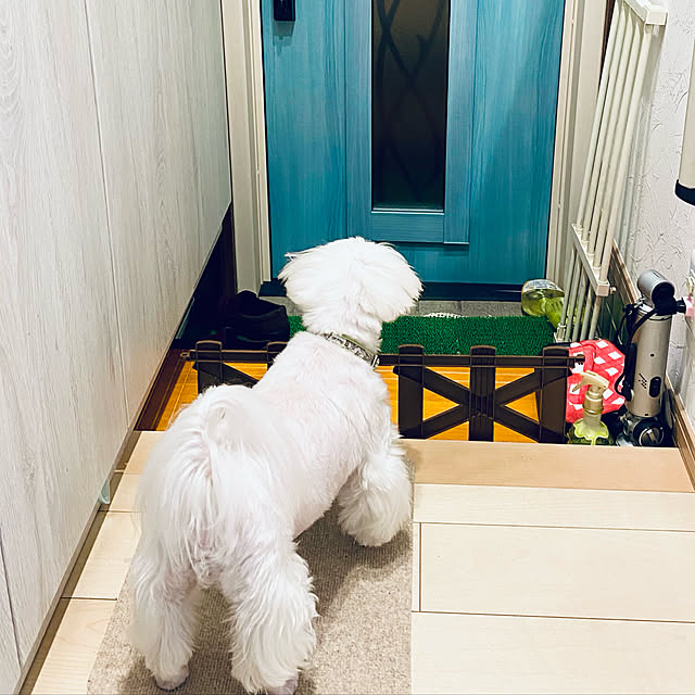 Annieさんの実例写真