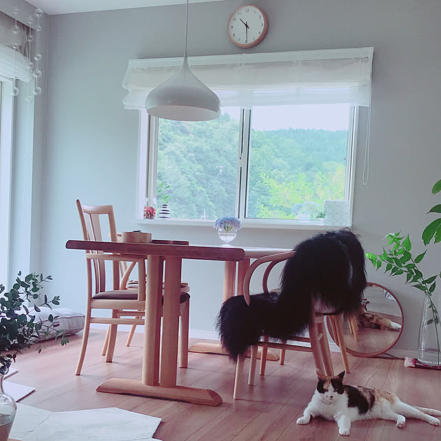 mtkさんの実例写真