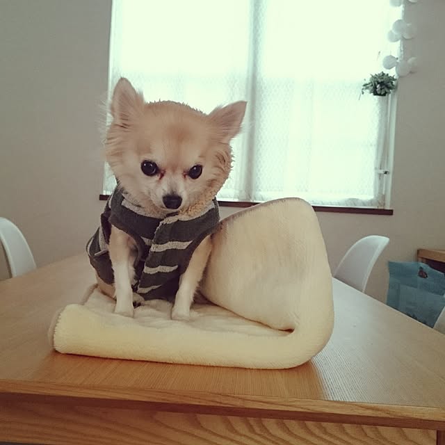 rumiさんの実例写真