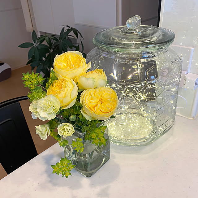 間接照明DIY/新居/断捨離中/植物/棚のインテリア実例 - 2021-09-26 13:26:59