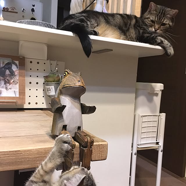 mikomaruさんの実例写真