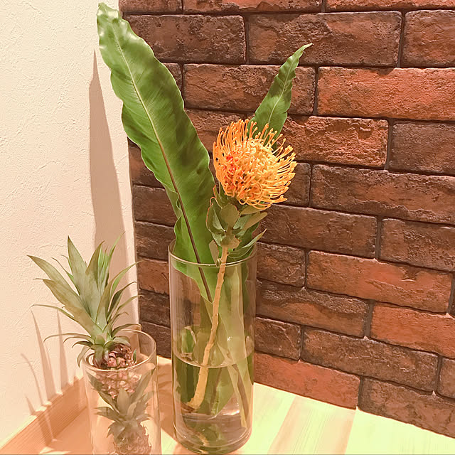 lotusさんの実例写真