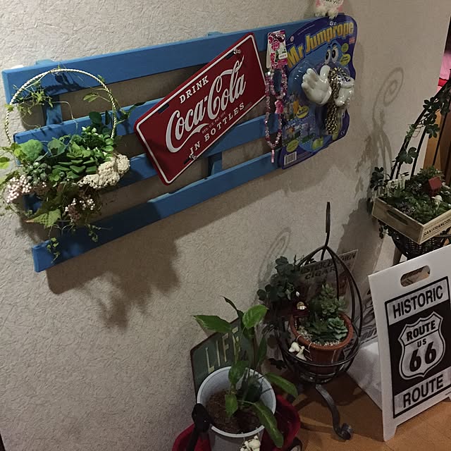 cocoさんの実例写真