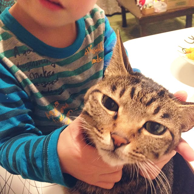 shigimiさんの実例写真
