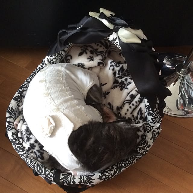 Noirさんの実例写真