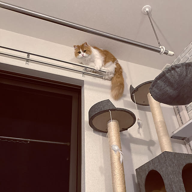 H.Tさんの実例写真