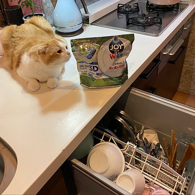 poniさんの実例写真