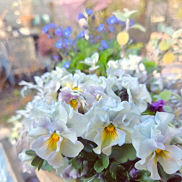 min_nimさんの実例写真