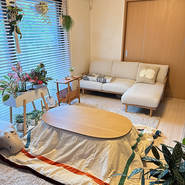 chinaさんの部屋