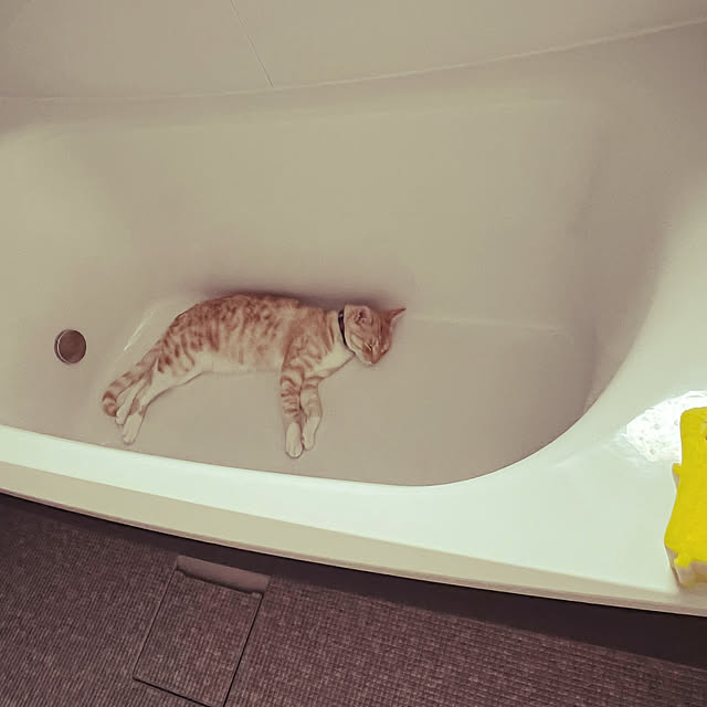 yhksさんの実例写真
