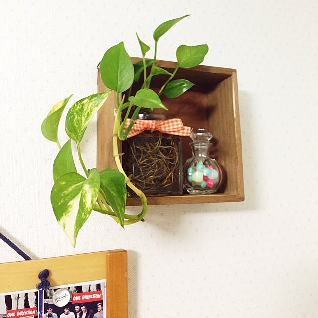 berryさんの実例写真