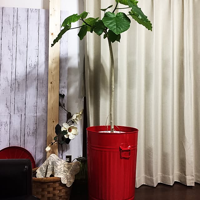 aninさんの実例写真