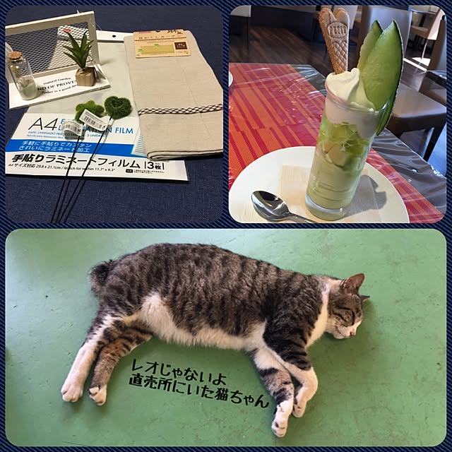 kimikimiさんの実例写真