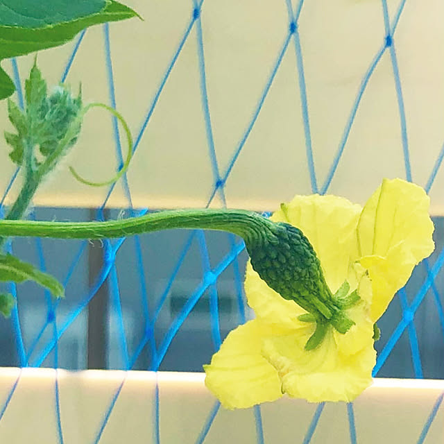 tomoさんの部屋