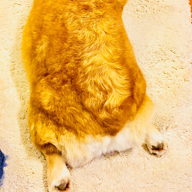 brownyさんの実例写真