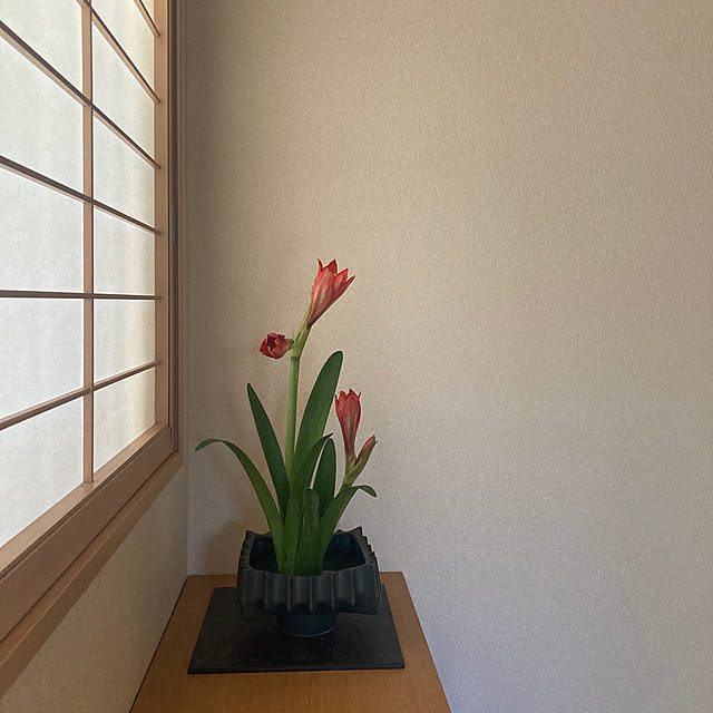 kaoriさんの部屋