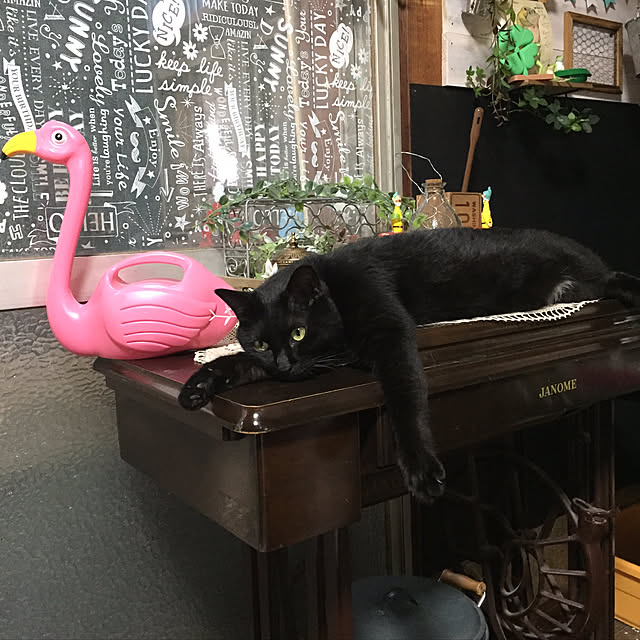vivienne.coco-keiさんの実例写真