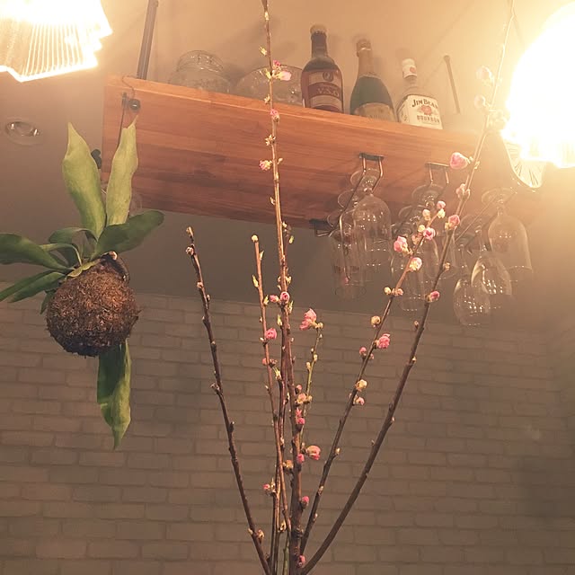 Hitomiさんの実例写真