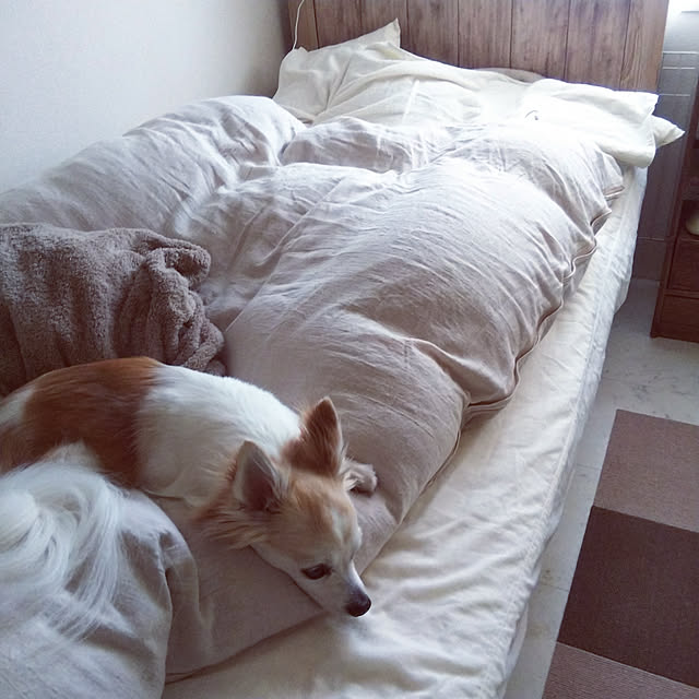 nonさんの実例写真