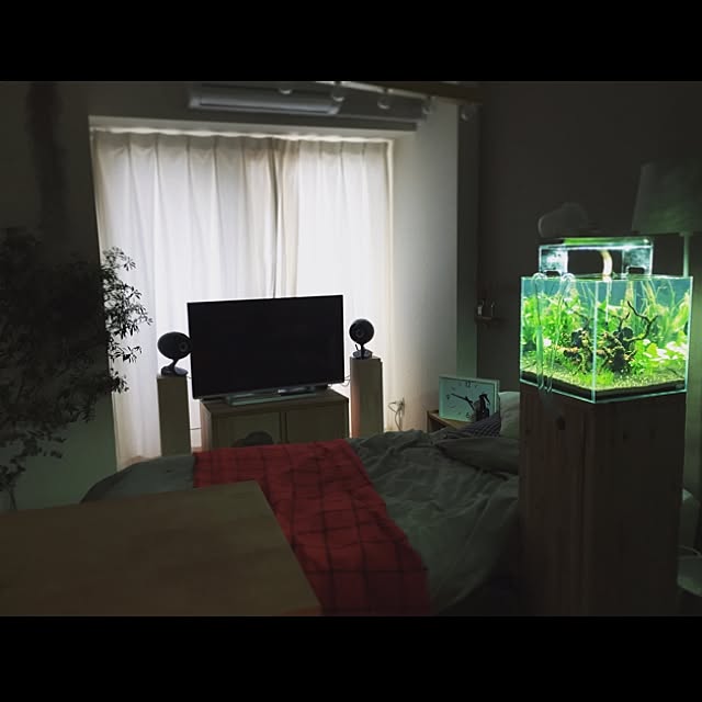 Hitomiさんの実例写真